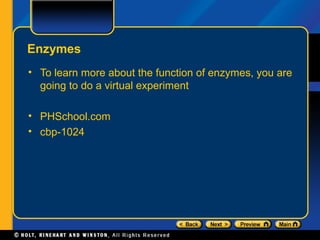 Enzymes
• To learn more about the function of enzymes, you are
  going to do a virtual experiment

• PHSchool.com
• cbp-1024
 