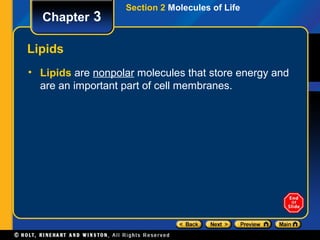 Section 2 Molecules of Life
  Chapter 3

Lipids
• Lipids are nonpolar molecules that store energy and
  are an important part of cell membranes.
 