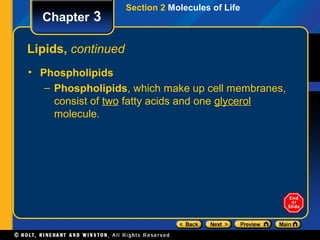 Section 2 Molecules of Life
  Chapter 3

Lipids, continued
• Phospholipids
   – Phospholipids, which make up cell membranes,
     consist of two fatty acids and one glycerol
     molecule.
 