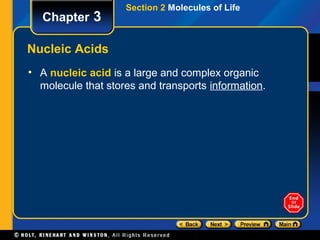 Section 2 Molecules of Life
   Chapter 3

Nucleic Acids
• A nucleic acid is a large and complex organic
  molecule that stores and transports information.
 