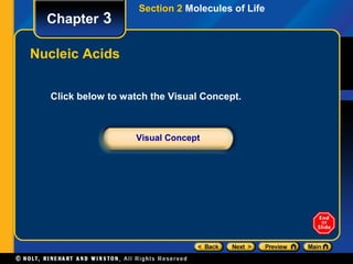 Section 2 Molecules of Life
  Chapter 3

Nucleic Acids


  Click below to watch the Visual Concept.



                   Visual Concept
 