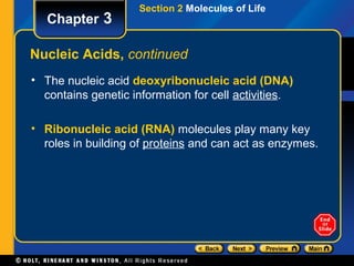 Section 2 Molecules of Life
   Chapter 3

Nucleic Acids, continued
• The nucleic acid deoxyribonucleic acid (DNA)
  contains genetic information for cell activities.

• Ribonucleic acid (RNA) molecules play many key
  roles in building of proteins and can act as enzymes.
 