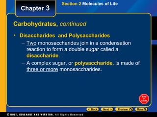 Section 2 Molecules of Life
  Chapter 3

Carbohydrates, continued
• Disaccharides and Polysaccharides
   – Two monosaccharides join in a condensation
     reaction to form a double sugar called a
     disaccharide.
   – A complex sugar, or polysaccharide, is made of
     three or more monosaccharides.
 
