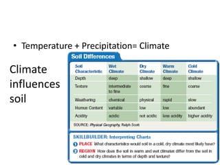 Temperature + Precipitation= ClimateClimate influences soil