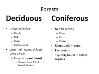 ForestsDeciduousBroadleaf treesMapleOakBirchCottonwoodLose their leaves at least once a year.Except in the rainforestTropical forest full of broadleaf treesConiferousNeedle leavesPinesFirCedarKeep seeds in coneEvergreensTypically found in colder regions