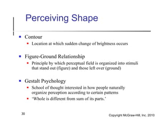 Ch 3 sensation perception | PPT