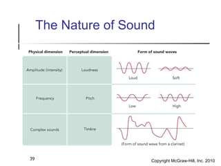 The Nature of Sound 