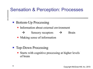 Sensation & Perception: Processes <ul><li>Bottom-Up Processing </li></ul><ul><ul><li>Information about external environmen...