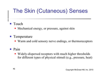 The Skin (Cutaneous) Senses <ul><li>Touch </li></ul><ul><ul><li>Mechanical energy, or pressure, against skin </li></ul></u...