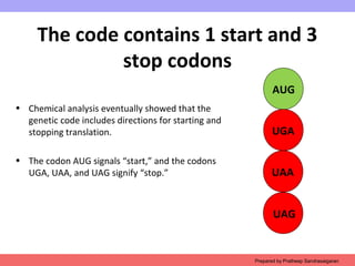 Stop Code Uaa Ch3 the genetic code | PPT