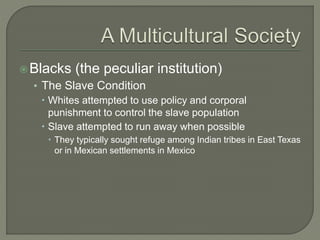 Blacks (the peculiar institution)
• The Slave Condition
 Whites attempted to use policy and corporal
punishment to control the slave population
 Slave attempted to run away when possible
 They typically sought refuge among Indian tribes in East Texas
or in Mexican settlements in Mexico
 
