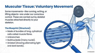 Ch 3 Tissues in action | Science | Exploration | Class 9 | CBSE