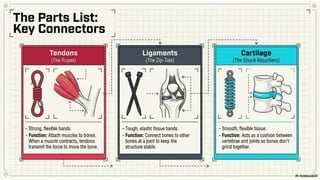 Ch 3 Tissues in action | Science | Exploration | Class 9 | CBSE