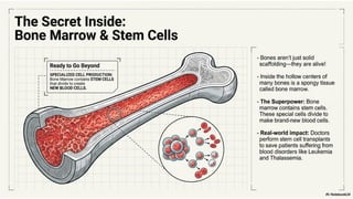 Ch 3 Tissues in action | Science | Exploration | Class 9 | CBSE