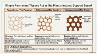 Ch 3 Tissues in action | Science | Exploration | Class 9 | CBSE