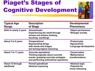 Piaget’s Stages of Cognitive Development Typical Age  Range Description  of Stage Developmental  Phenomena Birth to nearly 2 years Sensorimotor Experiencing the world through  senses and actions (looking,  touching, mouthing) Object permanence Stranger anxiety About 2 to 6 years About 7 to 11 years About 12 through  adulthood Preoperational Representing things  with words and images  but lacking logical reasoning Pretend play Egocentrism Language development Concrete operational Thinking logically about concrete  events; grasping concrete analogies  and performing arithmetical operations Conservation  Mathematical transformations Formal operational Abstract reasoning Abstract logic Potential for moral reasoning 