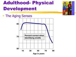 Adulthood- Physical Development The Aging Senses 10 30 50 70 90 50 70 90 Age in years Percent correct when Identifying smells 