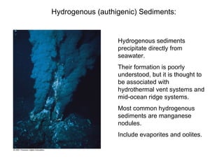 Hydrogenous (authigenic) Sediments:

Hydrogenous sediments
precipitate directly from
seawater.
Their formation is poorly
understood, but it is thought to
be associated with
hydrothermal vent systems and
mid-ocean ridge systems.
Most common hydrogenous
sediments are manganese
nodules.
Include evaporites and oolites.

 