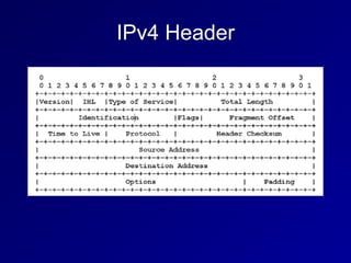 IPv4 Header
 
