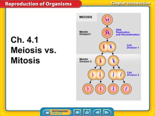 Ch. 4.1 
Meiosis vs. 
Mitosis 
 