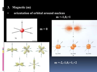 Magnetic (m)   orientation of orbital around nucleusm =-1,0,+1m = 0m =-2,-1,0,+1,+2