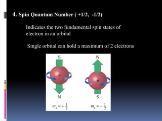 4. Spin Quantum Number ( +1/2,  -1/2)Indicates the two fundamental spin states of electron in an orbitalSingle orbital can hold a maximum of 2 electrons