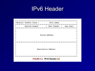 IPv6 Header
 
