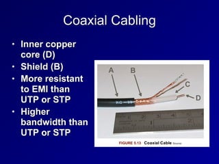 Coaxial Cabling
• Inner copper
core (D)


• Shield (B)


• More resistant
to EMI than
UTP or STP


• Higher
bandwidth than
UTP or STP
 
