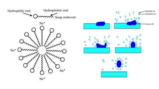 Class 4 - Carbon and its compounds (Chemistry)