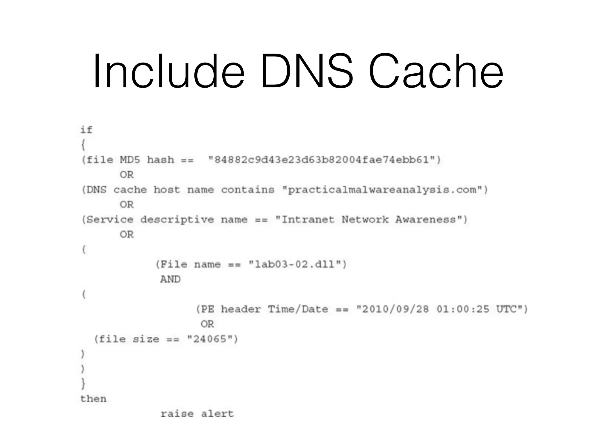 Include DNS Cache
 