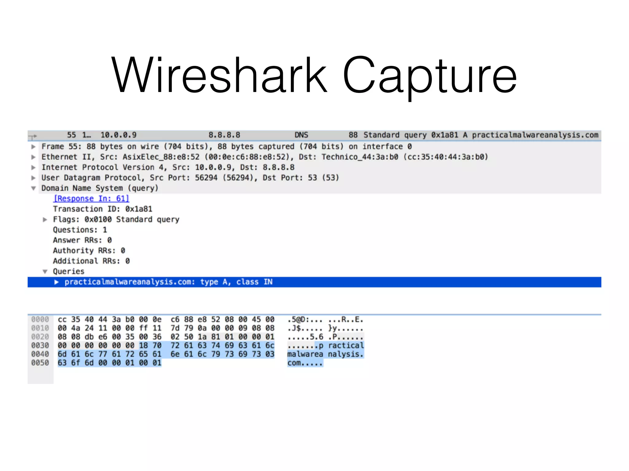 Wireshark Capture
 