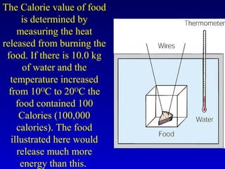 The Calorie value of food
is determined by
measuring the heat
released from burning the
food. If there is 10.0 kg
of water and the
temperature increased
from 10O
C to 20O
C the
food contained 100
Calories (100,000
calories). The food
illustrated here would
release much more
energy than this.
 