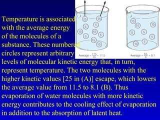 Temperature is associated
with the average energy
of the molecules of a
substance. These numbered
circles represent arbitrary
levels of molecular kinetic energy that, in turn,
represent temperature. The two molecules with the
higher kinetic values [25 in (A)] escape, which lowers
the average value from 11.5 to 8.1 (B). Thus
evaporation of water molecules with more kinetic
energy contributes to the cooling effect of evaporation
in addition to the absorption of latent heat.
 