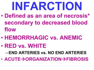 Ch4-Hemodynamic ppt by 2024 pathology.ppt