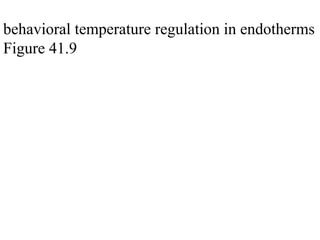 behavioral temperature regulation in endotherms
Figure 41.9
 