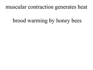 muscular contraction generates heat
brood warming by honey bees
 