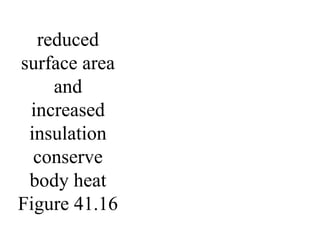 reduced
surface area
and
increased
insulation
conserve
body heat
Figure 41.16
 