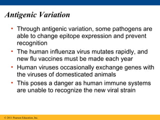 Antigenic Variation
• Through antigenic variation, some pathogens are
able to change epitope expression and prevent
recognition
• The human influenza virus mutates rapidly, and
new flu vaccines must be made each year
• Human viruses occasionally exchange genes with
the viruses of domesticated animals
• This poses a danger as human immune systems
are unable to recognize the new viral strain
© 2011 Pearson Education, Inc.
 