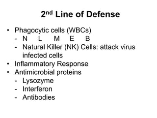 2nd Line of Defense 
• Phagocytic cells (WBCs) 
- N L M E B 
- Natural Killer (NK) Cells: attack virus 
infected cells 
• Inflammatory Response 
• Antimicrobial proteins 
- Lysozyme 
- Interferon 
- Antibodies 
 