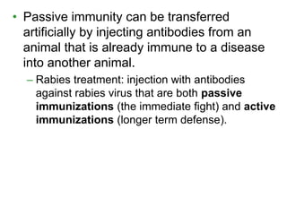 • Passive immunity can be transferred 
artificially by injecting antibodies from an 
animal that is already immune to a disease 
into another animal. 
– Rabies treatment: injection with antibodies 
against rabies virus that are both passive 
immunizations (the immediate fight) and active 
immunizations (longer term defense). 
 