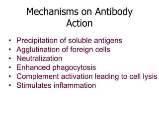 Mechanisms on Antibody 
Action 
• Precipitation of soluble antigens 
• Agglutination of foreign cells 
• Neutralization 
• Enhanced phagocytosis 
• Complement activation leading to cell lysis 
• Stimulates inflammation 
 