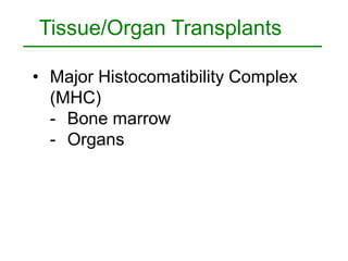 Tissue/Organ Transplants 
• Major Histocomatibility Complex 
(MHC) 
- Bone marrow 
- Organs 
 