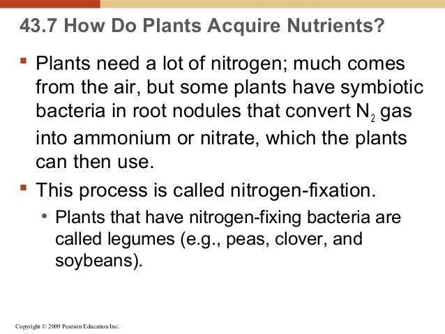 how plants do zinc absorb lecture 43 Ch how plants do zinc absorb lecture 43 Ch
