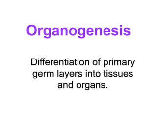 Organogenesis
Differentiation of primary
germ layers into tissues
and organs.
 