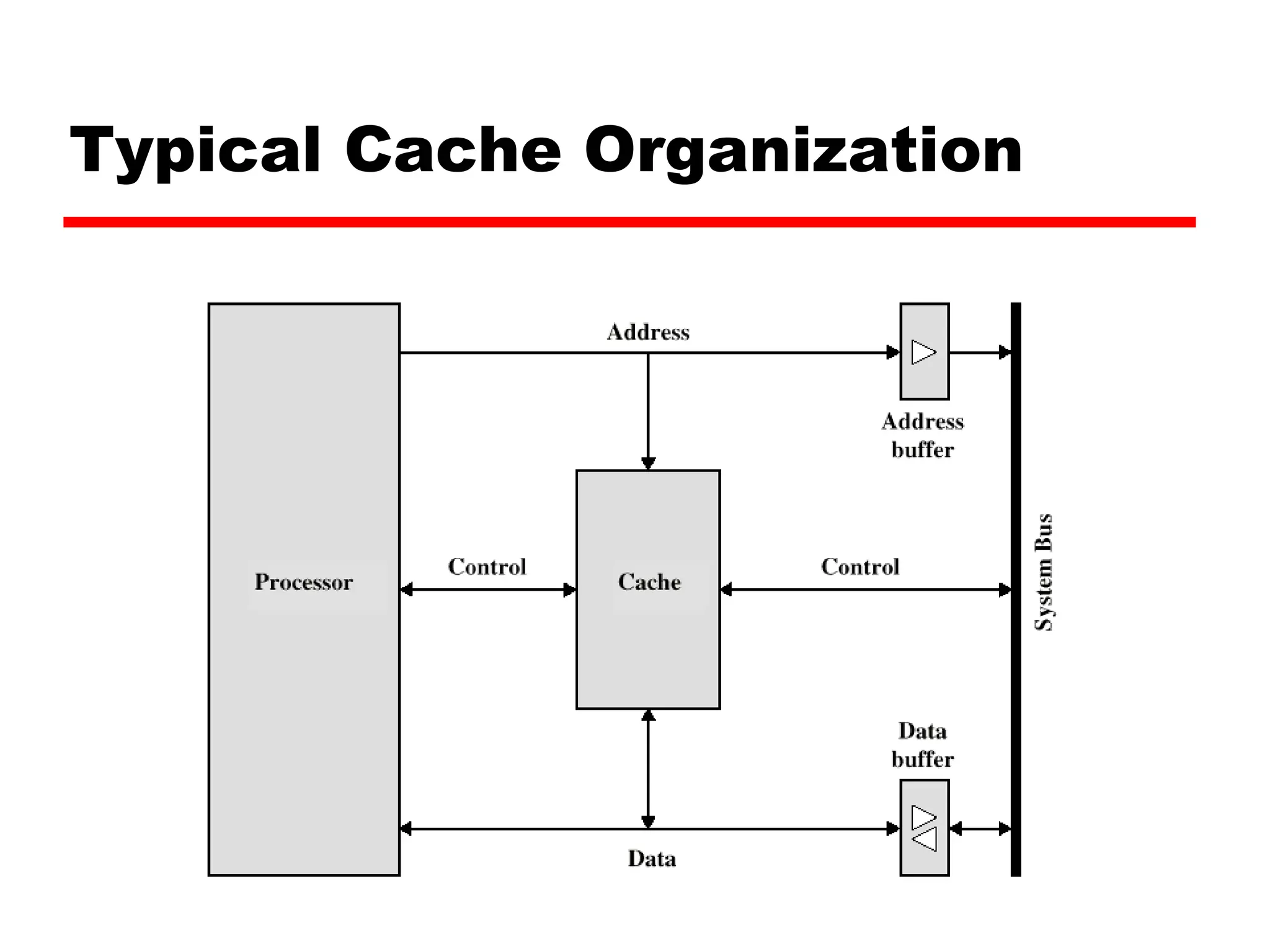 Typical Cache Organization
 