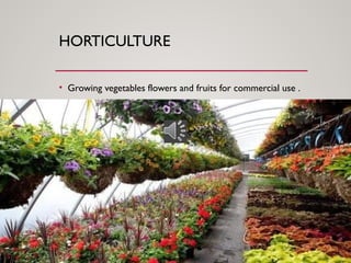 HORTICULTURE
• Growing vegetables flowers and fruits for commercial use .
 