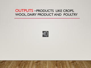 OUTPUTS –PRODUCTS LIKE CROPS,
WOOL, DAIRY PRODUCT AND POULTRY
 