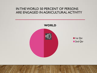 IN THE WORLD 50 PERCENT OF PERSONS
ARE ENGAGED IN AGRICULTURAL ACTIVITY
WORLD
1st Qtr
2nd Qtr
 