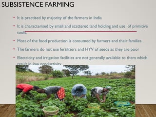 SUBSISTENCE FARMING
• It is practised by majority of the farmers in India
• It is characterised by small and scattered land holding and use of primitive
tools.
• Most of the food production is consumed by farmers and their families.
• The farmers do not use fertilizers and HYV of seeds as they are poor
• Electricity and irrigation facilities are not generally available to them which
result in low productivity
 
