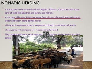 NOMADIC HERDING
• It is practiced in the semiarid and arid regions of Sahara , Central Asia and some
parts of India like Rajasthan and Jammu and Kashmir
• In this type of farming ,herdsmen move from place to place with their animals for
fodder and water along defined routes
• this type of movement arises in response to climatic constraints and terrain
• sheep ,camel ,yak and goats are most commonly reared
• They provide milk, meat ,wool hides and other products to the herders and their
families
 